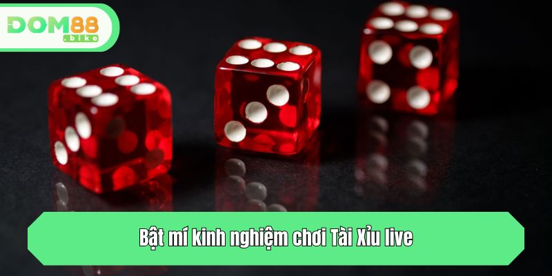 Tài Xỉu Live - Game Casino Chất Lượng Hàng Đầu Tại DOM88 4 Bật mí kinh nghiệm chơi Tài Xỉu live