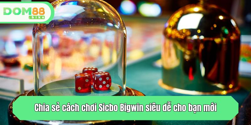 Chia sẻ cách chơi Sicbo Bigwin siêu dễ cho bạn mới