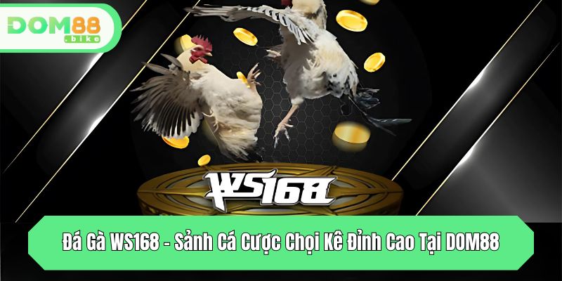 da ga ws168 sanh ca cuoc choi ke dinh cao tai dom88