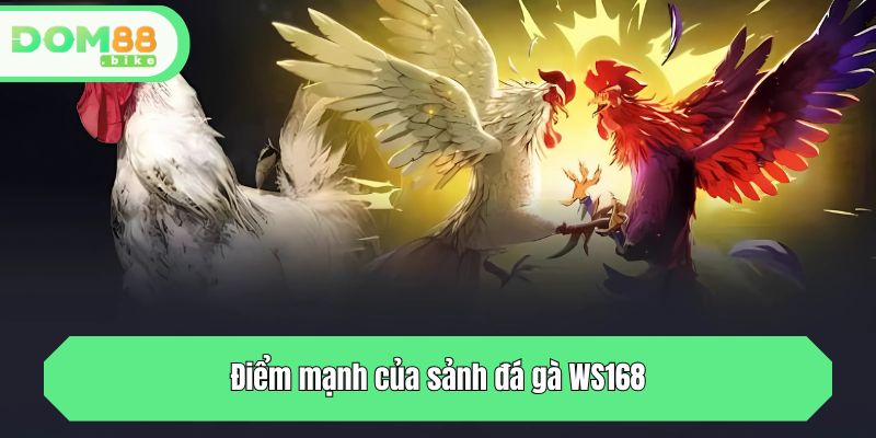 Điểm mạnh của sảnh đá gà WS168