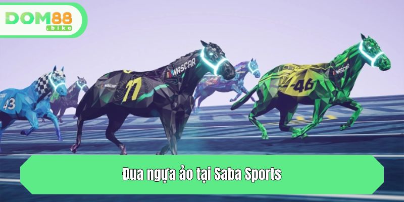 Đua ngựa ảo tại Saba Sports