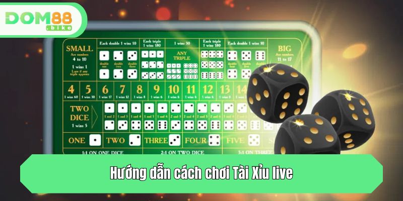 Tài Xỉu Live - Game Casino Chất Lượng Hàng Đầu Tại DOM88 3 Hướng dẫn cách chơi Tài Xỉu live