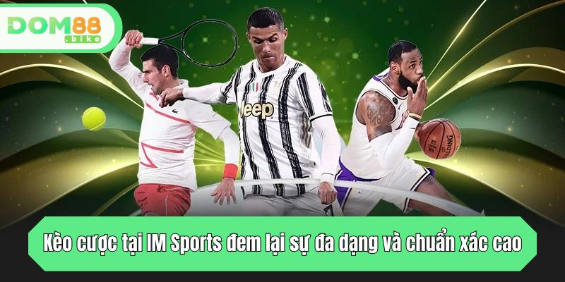 Kèo cược tại IM Sports đem lại sự đa dạng và chuẩn xác cao