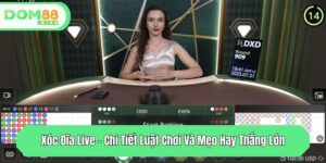 xoc dia live chi tiet luat choi va meo hay thang lon